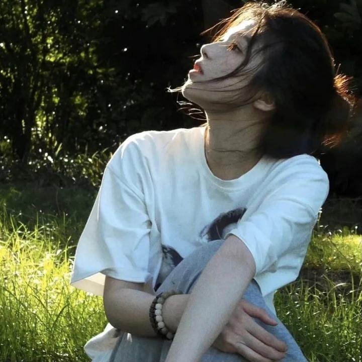 职业大贼
