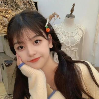 元首的面孔